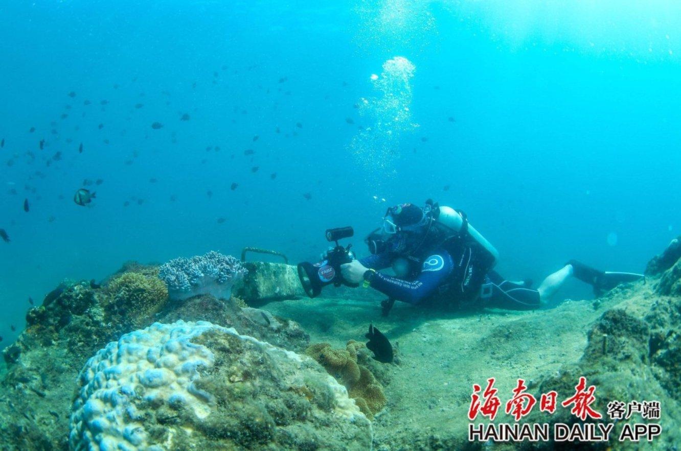 有个思想最“开放”的父母，是啥人生体验？网友：下辈子还在一家
